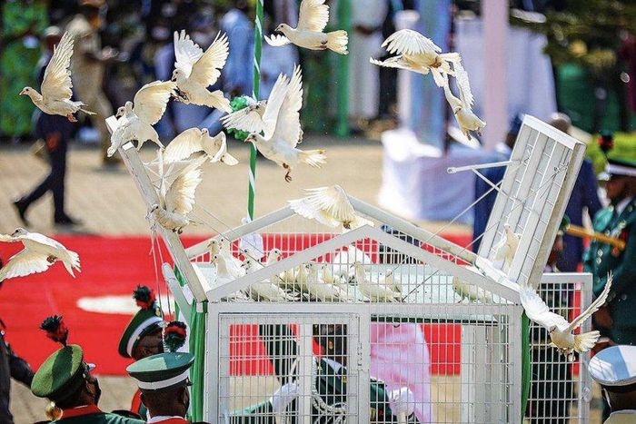 Pigeons at the 2021 Armed Forces Remembrance Day in Abuja (Twitter: @BashirAhmaad)