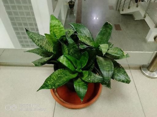 itel P37: A user’s first-hand experience