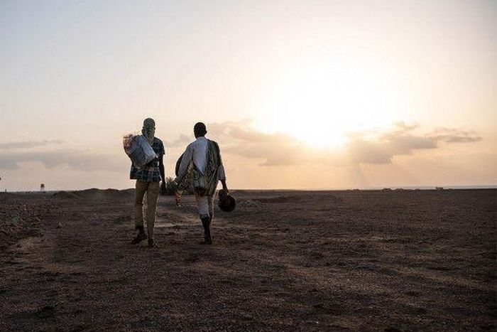 International Organization for Migration (IOM)