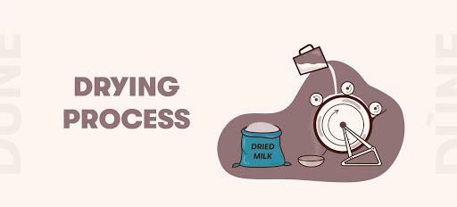 What is Roller-Dried whole milk powder?