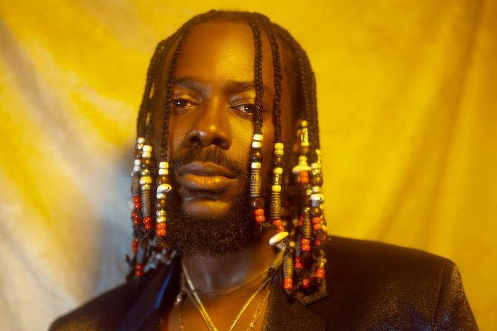 Adekunle Gold in braided and beaded hair {net ng}