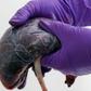 Stop eating placenta after childbirth, experts warn new mothers. [bbc]