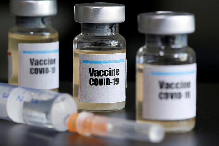 COVID-19 vaccines are safe – Ghana Medical Association assures