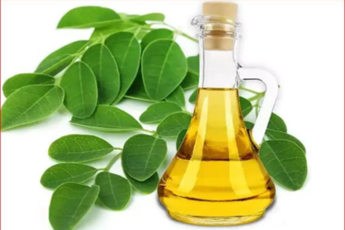 6 health benefits of moringa oil for the skin and hair