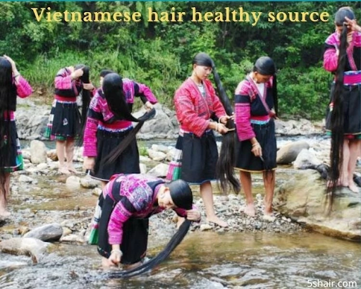 Vietnamese hair factory healthy source.