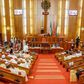 Nigerian Senate