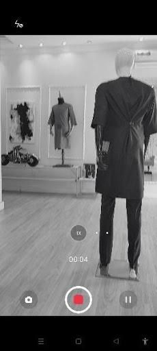 Monochrome video mode