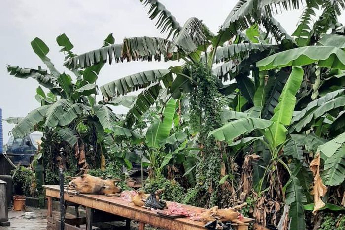 Dislodged illegal slaughter slabs by The Monitoring, Enforcement and Compliance (MEC) Team of the Lagos State Ministry of Agriculture in Lagos State. [Lagos govt]