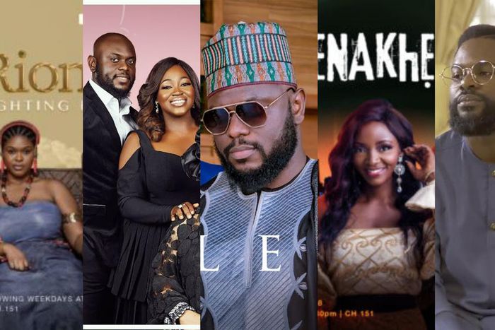 Pulse lists five top TV and web shows of 2020