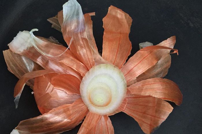 Onion Peels