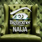 BBNaija - Nigeria's next biggest export