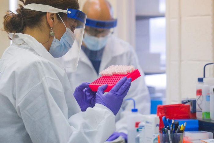 Pfizer vaccine undergoes clinical trials (Business Insider)