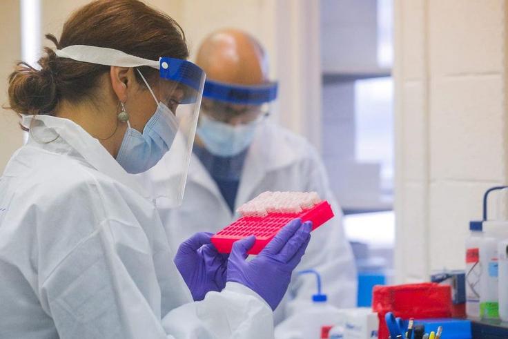 Pfizer vaccine undergoes clinical trials (Business Insider)