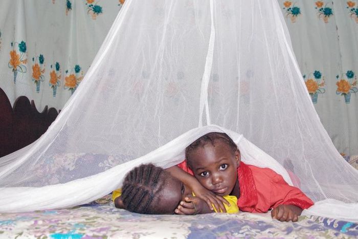 Children under a mosquito net, one of the preventative measures against malaria (Net photo)