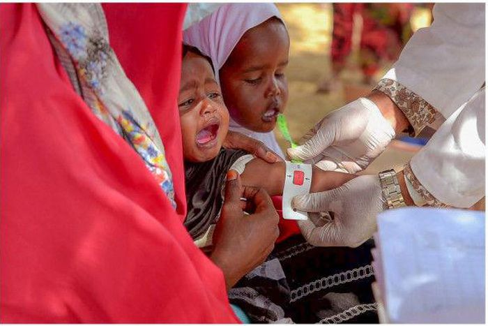 International Federation of Red Cross and Red Crescent Societies (IFRC)