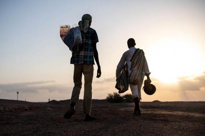 International Organization for Migration (IOM)