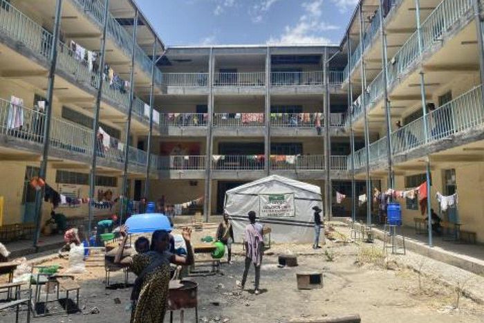 International Organization for Migration (IOM)