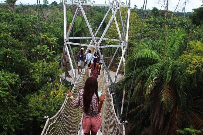 The canopy walk {viator}