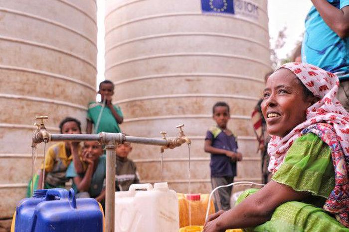 International Organization for Migration (IOM)