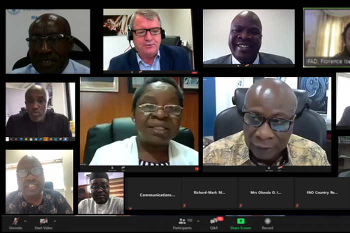 United Nations Nigeria