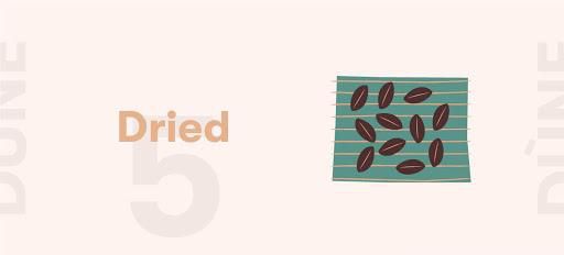 How Dùne is made: Part 1 - Farming