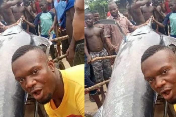 Man & village folks eat Blue Marlin Fish only to know it’s worth a life-changing $2.6 million