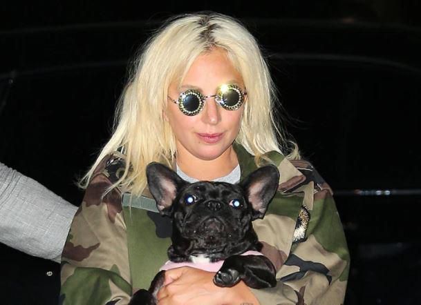 Lady gaga and one of her dogs [PageSix]