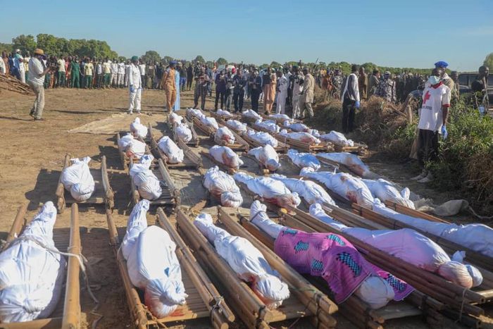 Boko Haram terrorists killed Borno rice farmers while harvesting their crops on Saturday, November 28, 2020 (Premium Times)