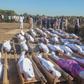 Boko Haram terrorists killed Borno rice farmers while harvesting their crops on Saturday, November 28, 2020 (Premium Times)