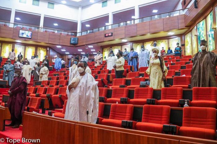Nigerian senators [Tope Brown]
