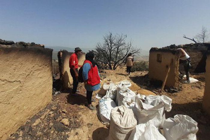 International Federation of Red Cross and Red Crescent Societies (IFRC)