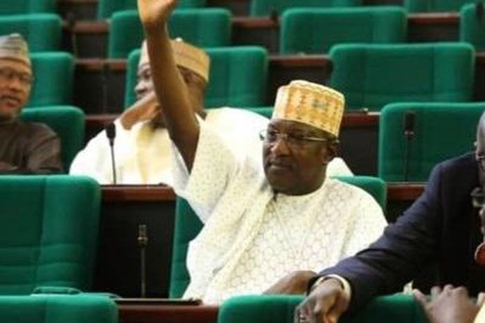 Musa Adar [Twitter/@sarkin adar]