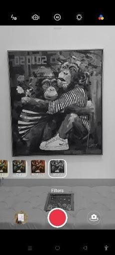 Monochrome video mode