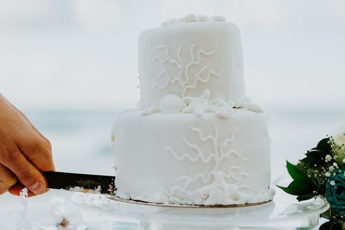 A couple cuts their wedding cake.
