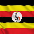 Top 10 Africa’s fastest-growing economies according to IMF