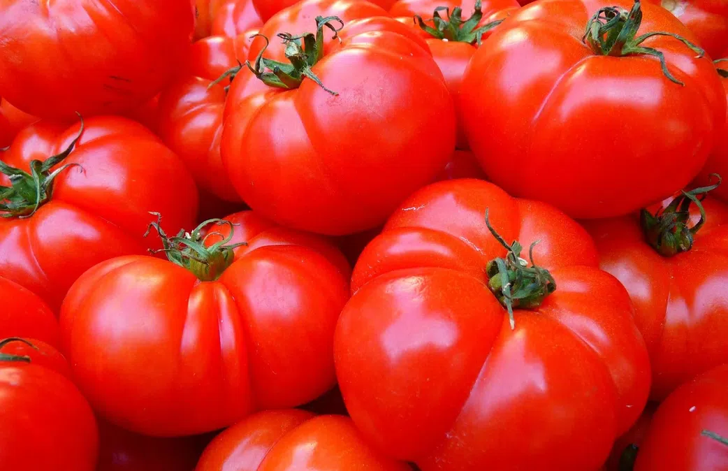 Ranked: The fruits with the most (and least) health benefits