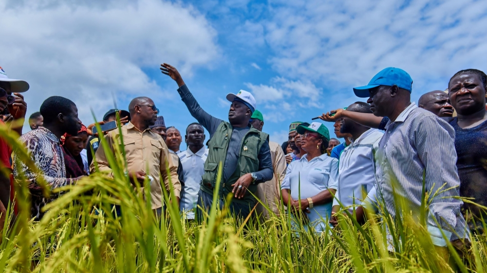 Aliyu Abdullahi: Tinubu’s silent strategist in Nigeria’s food security war