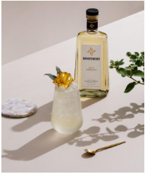 It was World Gin Day - We Made It Memorable