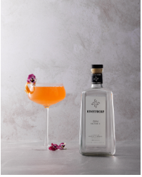 It was World Gin Day - We Made It Memorable
