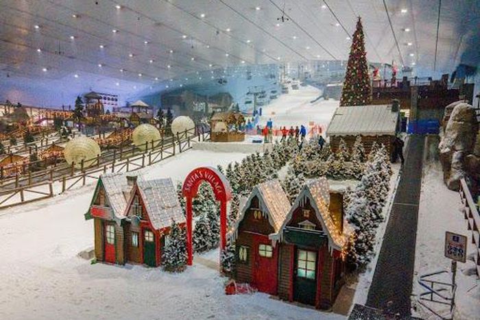 Great shopping, exquisite food & fun experiences! Enjoy the best of the festive season with amazing experiences in Dubai