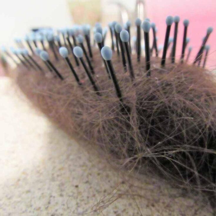 Hairbrushes are difficult to clean [digitalmomblog]