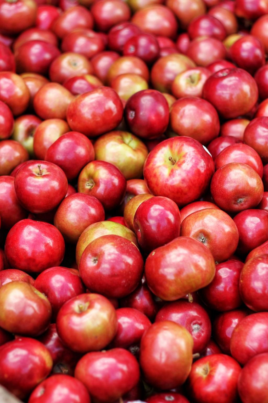 Apples are common and nutritious [pexels]