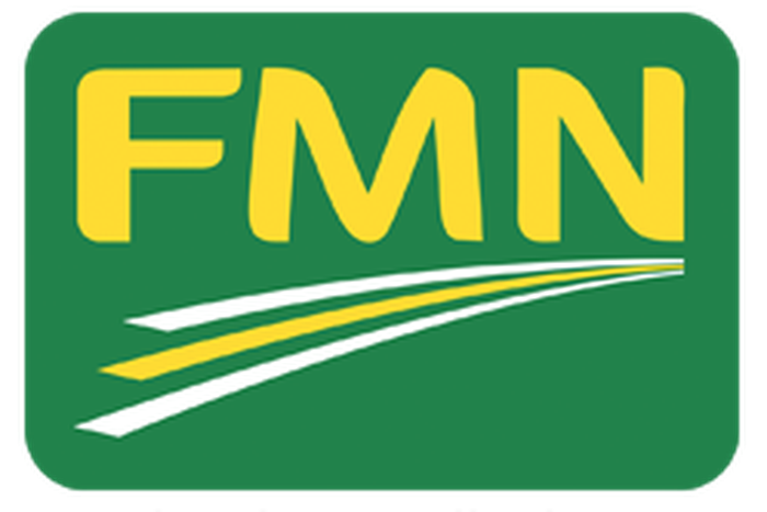 Flour Mills of Nigeria (FMN Group)