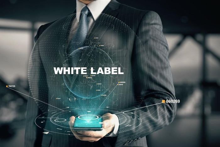 Build your own forex white label brokerage: Is it expensive? [fxtradingrevolution]