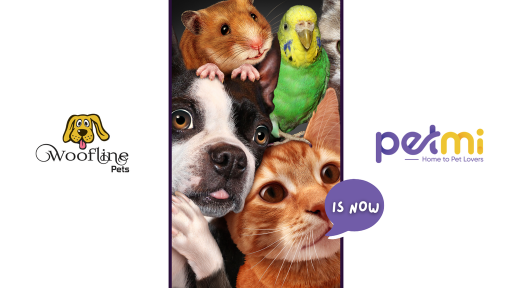 Pet community Woofline Pets rebrands as Petmi with exciting new app features