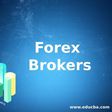 How to launch a forex brokerage company from scratch?