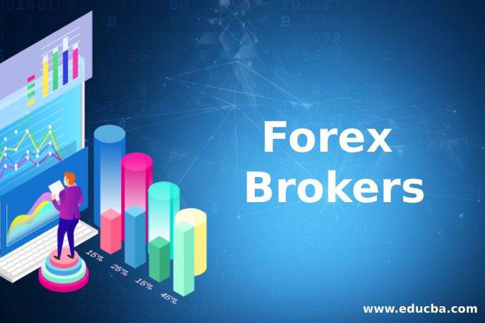 How to launch a forex brokerage company from scratch?