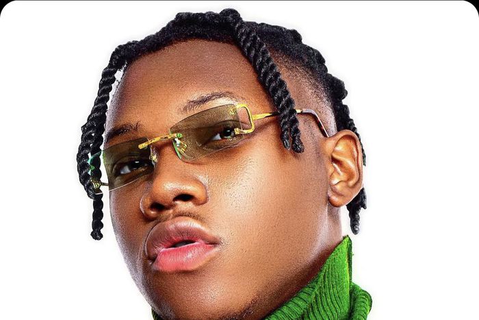 Meet Delvino, the Voltage Boy