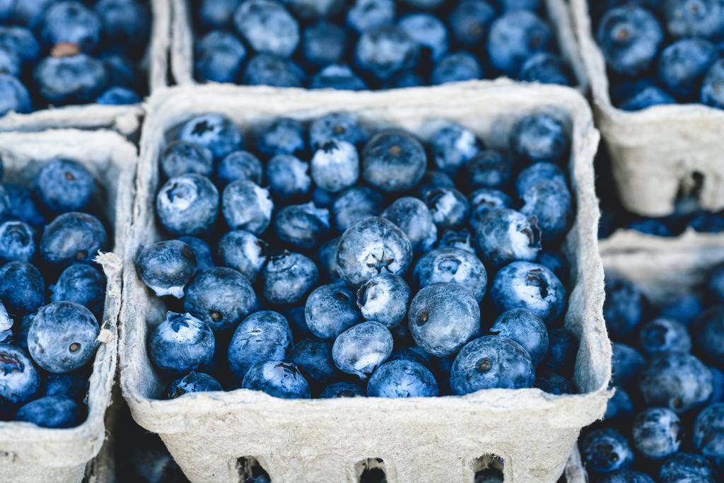 Blue berries are highly nutritious [pexels]