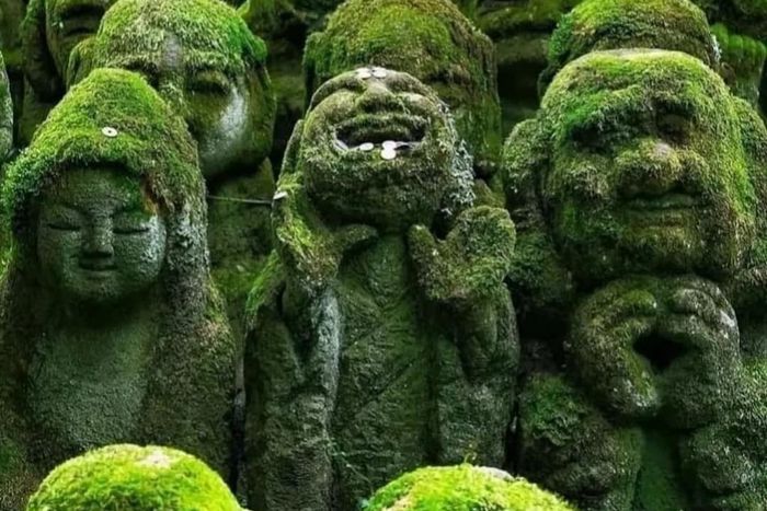 Live looking sculptures at the Otagi  Nenbutsu-Ji temple [nationalarcheaology/saltybarbara]